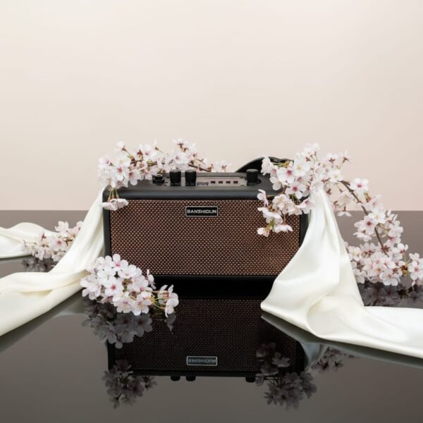 BANSHIDUN Dual Speaker Household Outdoor Portable Card Speaker - Image 2